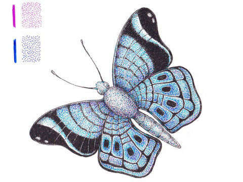 Hogyan rajzoljunk egy gyönyörű pillangót?