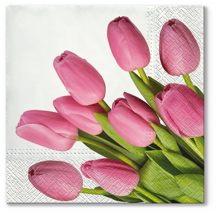 Decoupage szalvéták Lovely Tulips - 1 db
