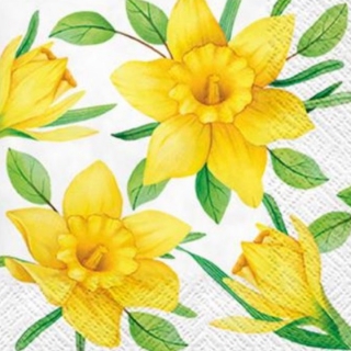 Decoupage szalvéták Daffodils in Bloom - 1 db
