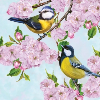 Decoupage szalvéták Tits on Cherry Blossom Twig - 1db