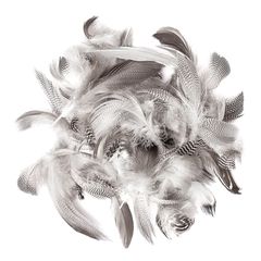 Kacsatoll 5 - 12 cm / 5 g